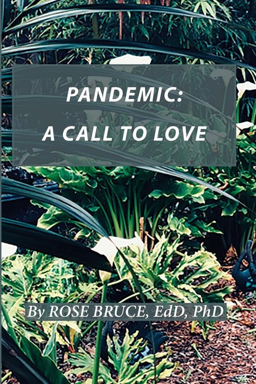 Produktbild: Pandemic