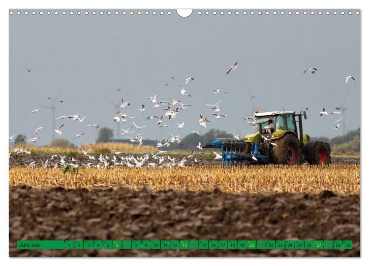 Produktbild: Landwirtschaft - Maschinen im Einsatz (Wandkalender 2026 DIN A3 quer), CALVENDO Monatskalender