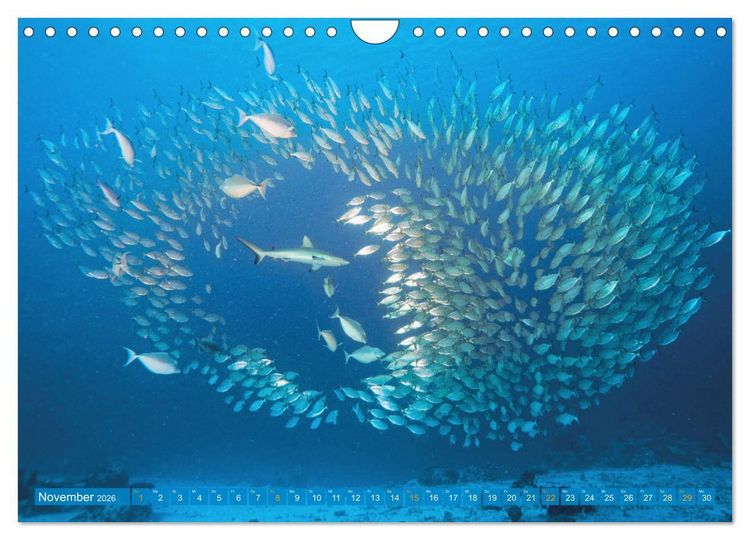 Produktbild: Planet Wasser: Von wegen Planet Erde (Wandkalender 2026 DIN A4 quer), CALVENDO Monatskalender