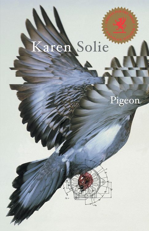 Produktbild: Pigeon
