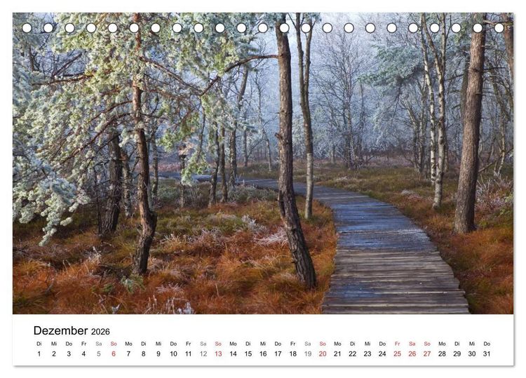 Produktbild: Auf neuen Wegen (Tischkalender 2026 DIN A5 quer), CALVENDO Monatskalender