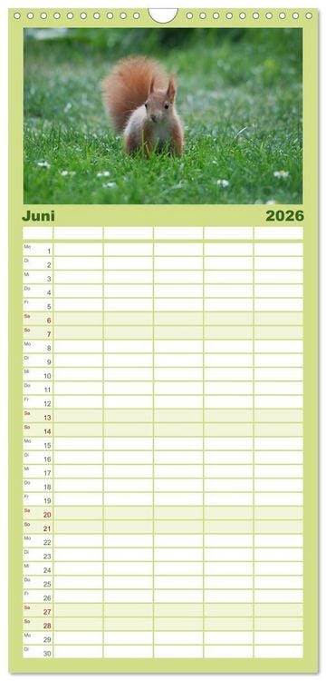 Produktbild: Familienplaner 2026 - Spa&szlig; mit Eichh&ouml;rnchen-Kindern mit 5 Spalten (Wandkalender, 21 x 45 cm) CALVENDO