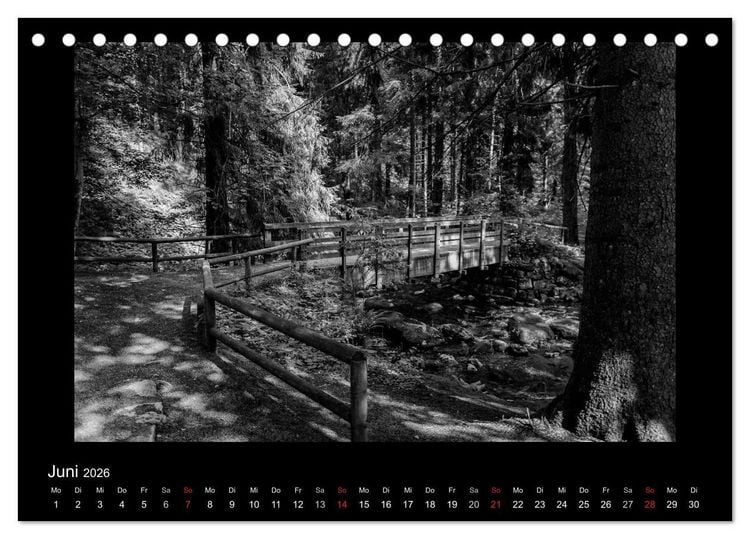 Produktbild: Harz-Bilder in monochrome (Tischkalender 2026 DIN A5 quer), CALVENDO Monatskalender