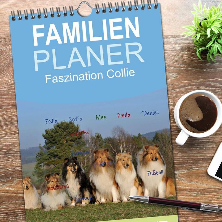 Produktbild: Familienplaner 2026 - Faszination Collie 2026 mit 5 Spalten (Wandkalender, 21 x 45 cm) CALVENDO