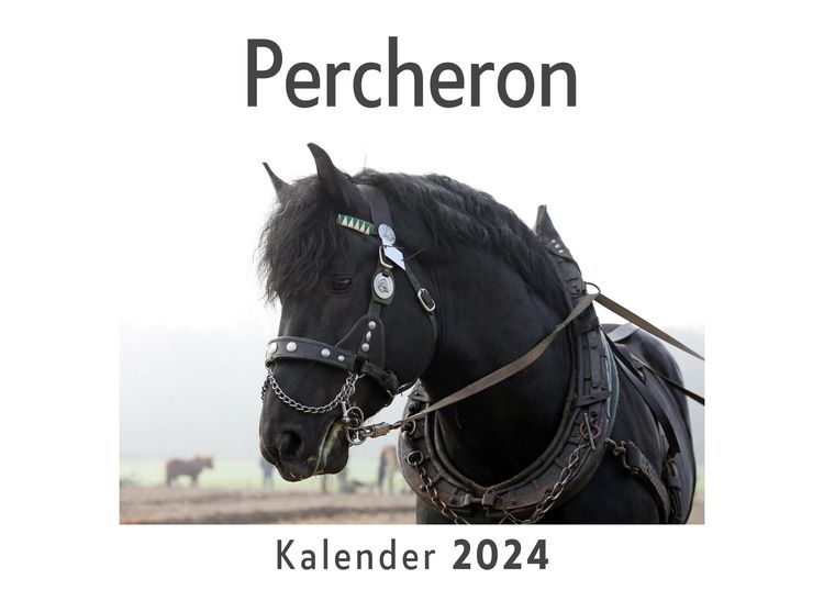 Produktbild: Percheron (Wandkalender 2024, Kalender DIN A4 quer, Monatskalender im Querformat mit Kalendarium, Das perfekte Geschenk)
