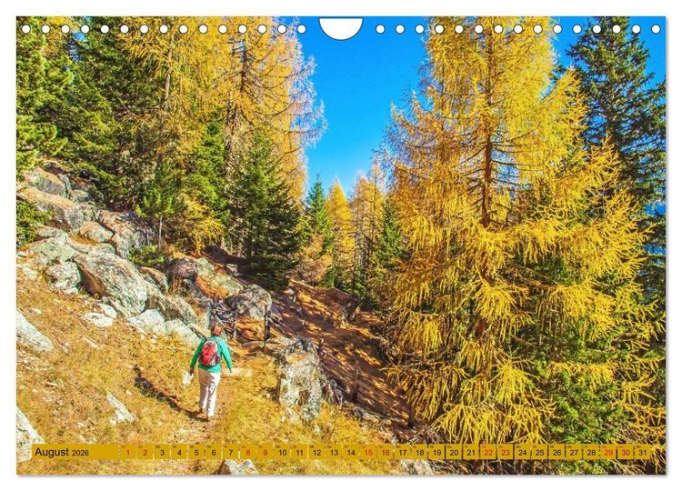 Produktbild: Das Element Holz - Ein Sinnbild (Wandkalender 2026 DIN A4 quer), CALVENDO Monatskalender