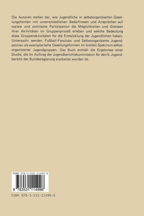 Produktbild: Selbstorganisierte Jugendgruppen zwischen Partykultur und politischer Partizipation
