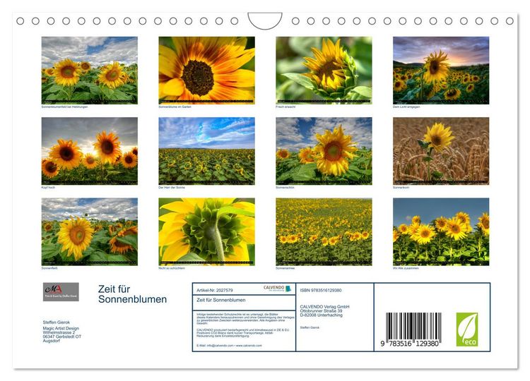Produktbild: Zeit f&uuml;r Sonnenblumen (Wandkalender 2026 DIN A4 quer), CALVENDO Monatskalender