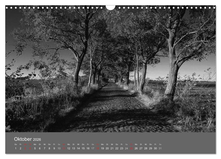 Produktbild: Ostsee - von schwarz bis wei&szlig; (Wandkalender 2026 DIN A3 quer), CALVENDO Monatskalender