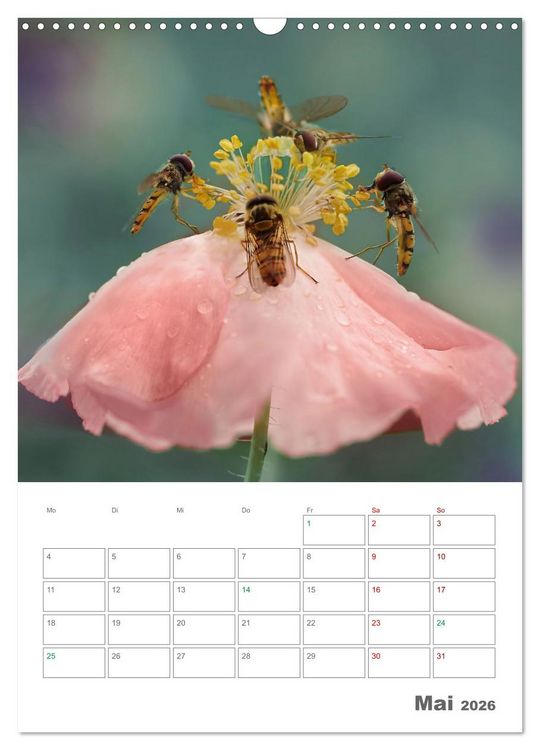 Produktbild: Helden in der Natur (Wandkalender 2026 DIN A3 hoch), CALVENDO Monatskalender
