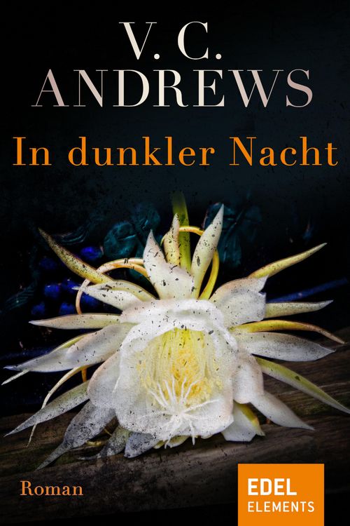 Produktbild: In dunkler Nacht