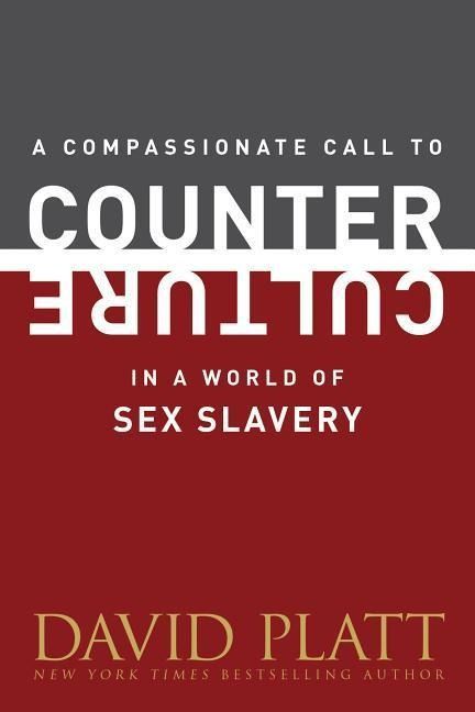 Produktbild: In a World Of Sex Slavery