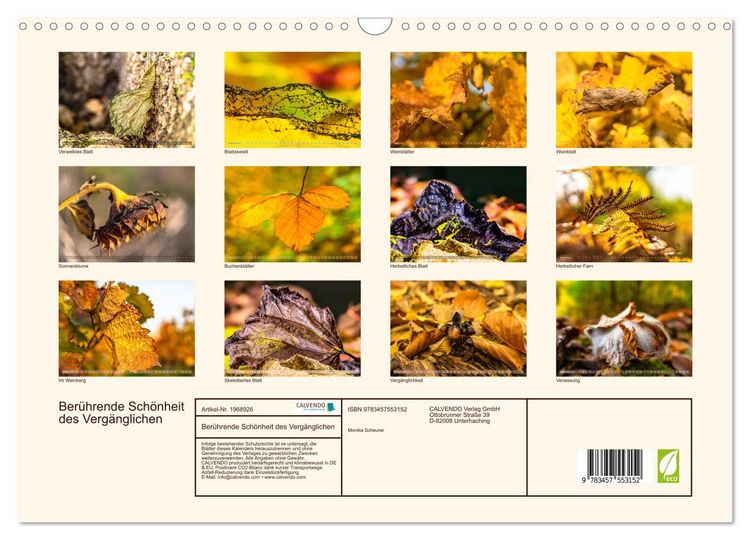 Produktbild: Ber&uuml;hrende Sch&ouml;nheit des Verg&auml;nglichen (Wandkalender 2026 DIN A3 quer), CALVENDO Monatskalender