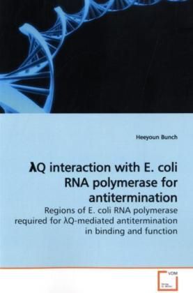 Produktbild: Bunch, H: &iquest;Q interaction with E. coli RNA polymerase foranti
