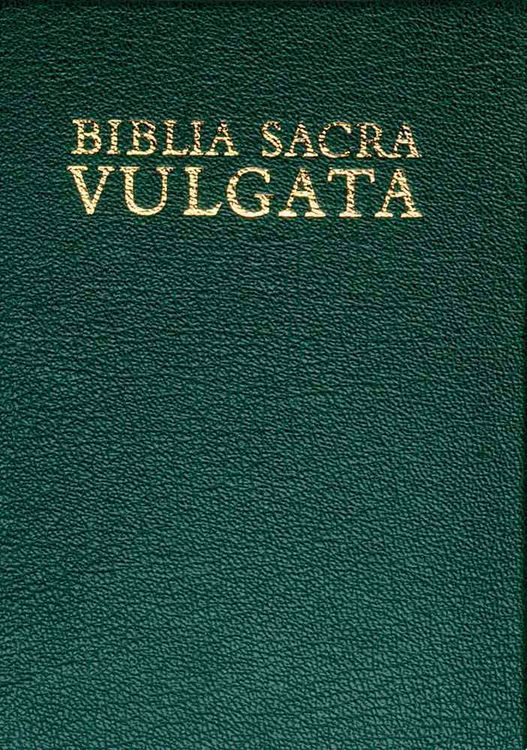 Produktbild: Latin Bible-FL-Sacra Vulgata