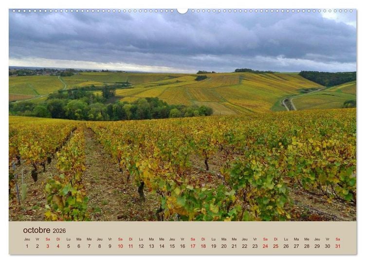 Produktbild: Paysages de l'Yonne (Calendrier mural 2026 DIN A2 vertical) calendrier de bureau