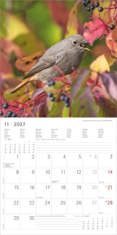 Produktbild: Einheimische V&ouml;gel 2027