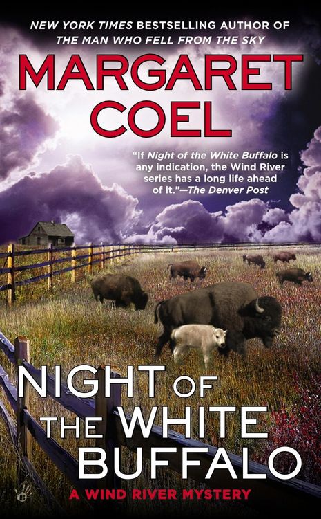 Produktbild: Night of the White Buffalo