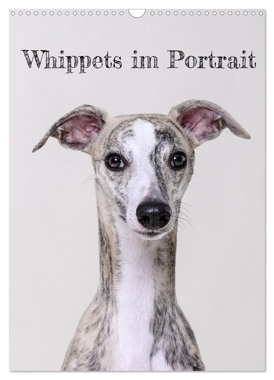 Produktbild: Whippets im Portrait (Wandkalender 2026 DIN A3 hoch), CALVENDO Monatskalender