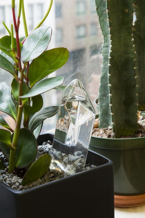 Produktbild: Geo Vase Propagation Station