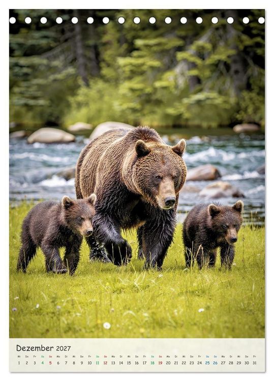 Produktbild: Grizzlyb&auml;ren und Lachse (Tischkalender 2027 DIN A5 hoch), CALVENDO Monatskalender