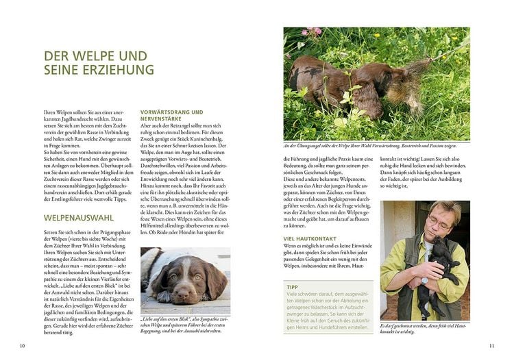 Produktbild: Vom Welpen zum Jagdhelfer
