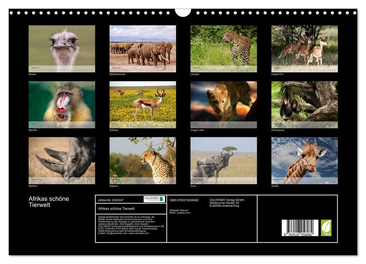 Produktbild: Afrikas sch&ouml;ne Tierwelt (Wandkalender 2026 DIN A3 quer), CALVENDO Monatskalender
