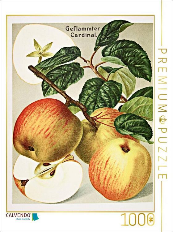 Produktbild: CALVENDO Puzzle Geflammter Cardinal, plattdeutsch: Falske Gravensteener | 1000 Teile Lege-Gr&ouml;&szlig;e 64x48cm Foto-Puzzle f&uuml;r gl&uuml;ckliche Stunden