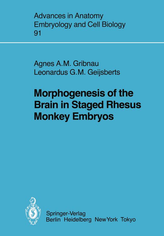 Produktbild: Morphogenesis of the Brain in Staged Rhesus Monkey Embryos