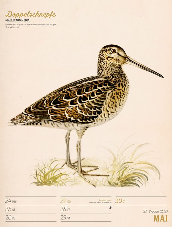 Produktbild: Wunderbare Vogelwelt Wochenplaner Kalender 2027