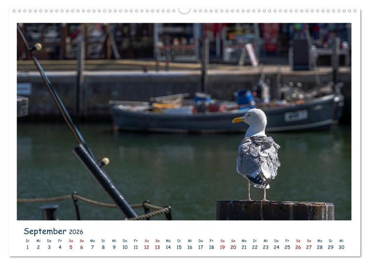 Produktbild: Warnem&uuml;nde an der Ostsee (Wandkalender 2026 DIN A2 quer), CALVENDO Monatskalender