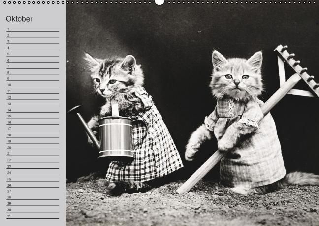 Produktbild: Katzen und Hunde - Nostalgie auf Pfoten (Wandkalender immerw&auml;hrend DIN A2 quer)