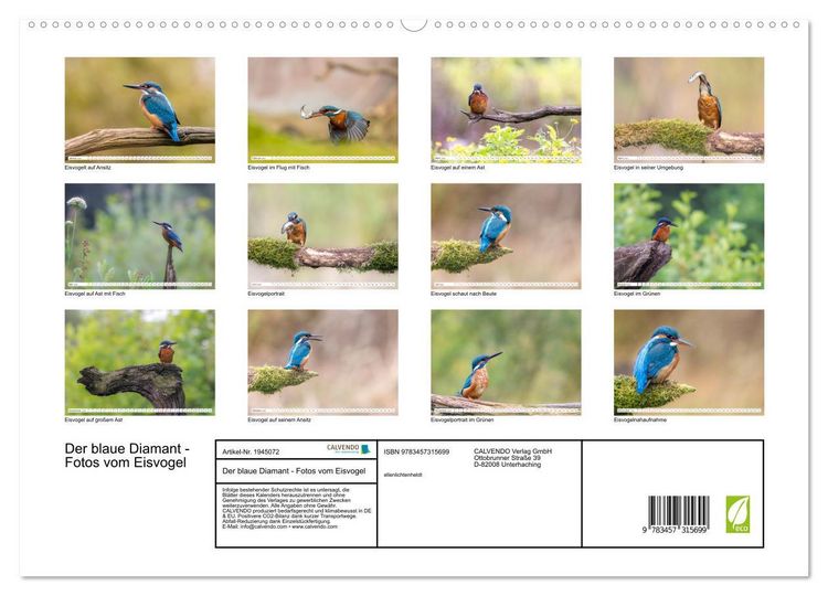 Produktbild: Der blaue Diamant - Fotos vom Eisvogel (hochwertiger Premium Wandkalender 2026 DIN A2 quer), Kunstdruck in Hochglanz