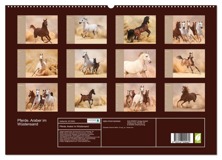 Produktbild: Pferde. Araber im W&uuml;stensand (hochwertiger Premium Wandkalender 2026 DIN A2 quer), Kunstdruck in Hochglanz