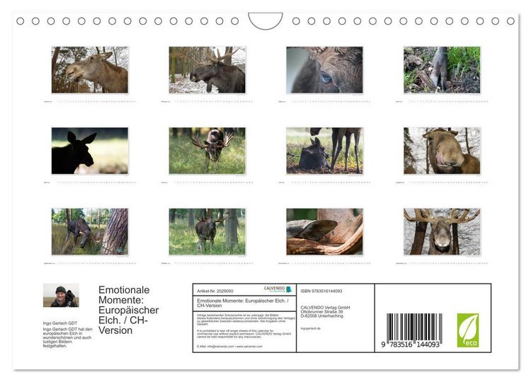 Produktbild: Emotionale Momente: Europ&auml;ischer Elch. / CH-Version (Wandkalender 2026 DIN A4 quer), CALVENDO Monatskalender