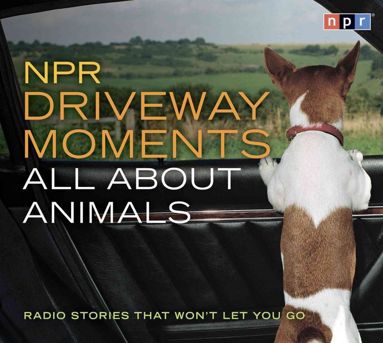 Produktbild: NPR DRIVEWAY MOMENTS ALL AB 2D