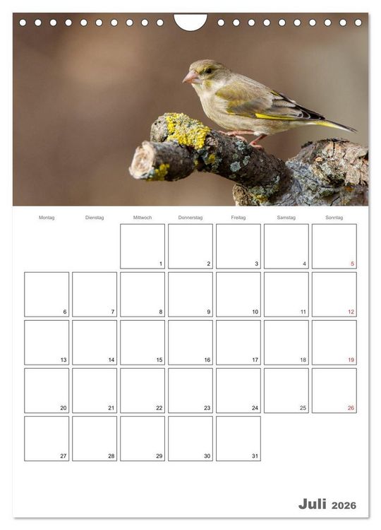 Produktbild: V&ouml;gel im heimischen Garten (Wandkalender 2026 DIN A4 hoch), CALVENDO Monatskalender