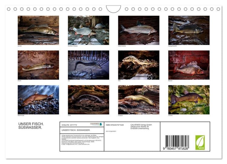 Produktbild: UNSER FISCH. S&Uuml;&szlig;WASSER. (Wandkalender 2026 DIN A4 quer), CALVENDO Monatskalender