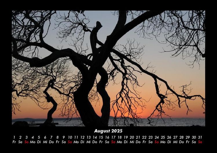 Produktbild: B&auml;ume 2025 Fotokalender DIN A3