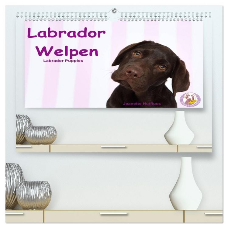 Produktbild: Labrador Welpen - Labrador Puppies (hochwertiger Premium Wandkalender 2026 DIN A2 quer), Kunstdruck in Hochglanz