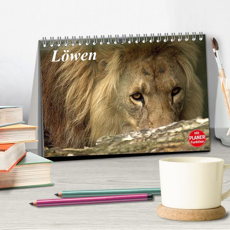 Produktbild: L&ouml;wen (Tischkalender 2026 DIN A5 quer), CALVENDO Monatskalender