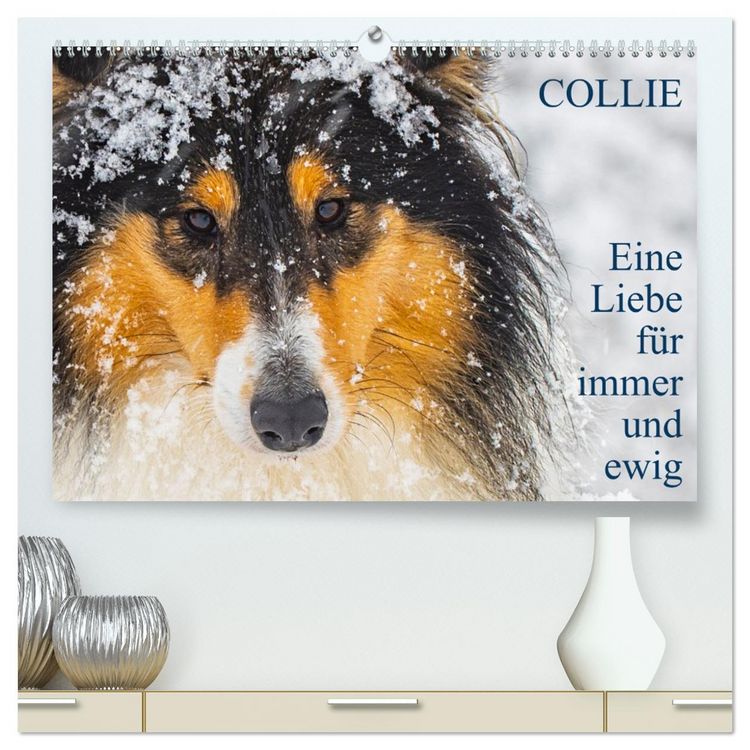Produktbild: Collies - Eine Liebe f&uuml;r immer und ewig (hochwertiger Premium Wandkalender 2026 DIN A2 quer), Kunstdruck in Hochglanz