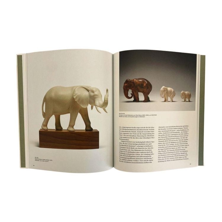 Produktbild: Glanzst&uuml;cke. Deutsches Elfenbeinmuseum Schloss Erbach