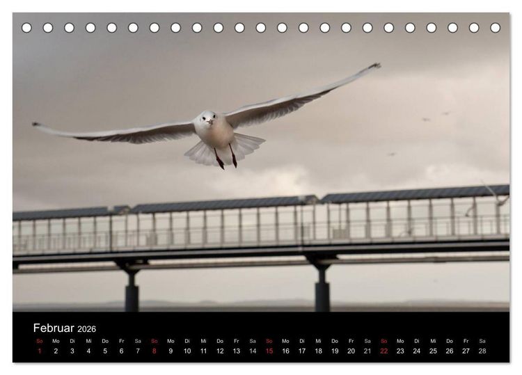 Produktbild: Usedom 2026 Rendezvous zwischen Ahlbeck und Heringsdorf (Tischkalender 2026 DIN A5 quer), CALVENDO Monatskalender