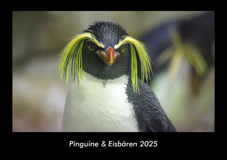 Produktbild: Pinguine & Eisb&auml;ren 2025 Fotokalender DIN A3