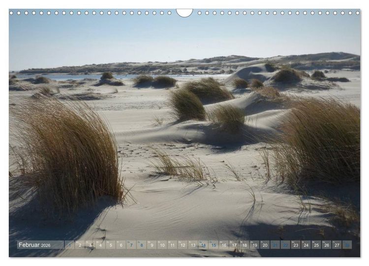 Produktbild: Texel. Neue D&uuml;nen (Wandkalender 2026 DIN A3 quer), CALVENDO Monatskalender