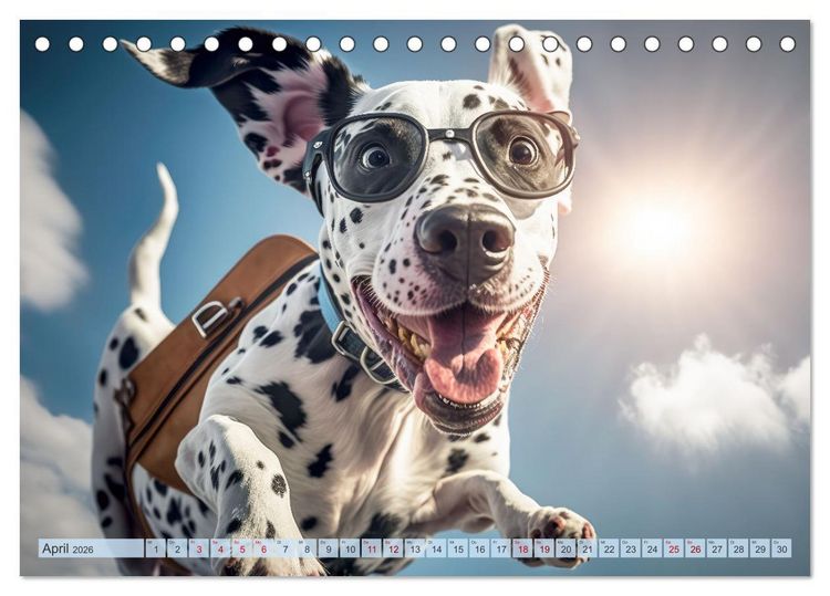 Produktbild: Hunde Skydiving (Tischkalender 2026 DIN A5 quer), CALVENDO Monatskalender