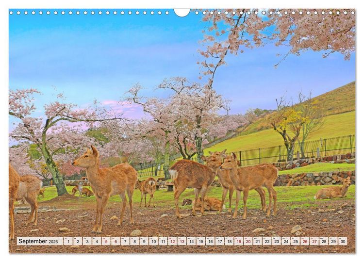 Produktbild: Japan das Land der aufgehenden Sonne (Wandkalender 2026 DIN A3 quer), CALVENDO Monatskalender