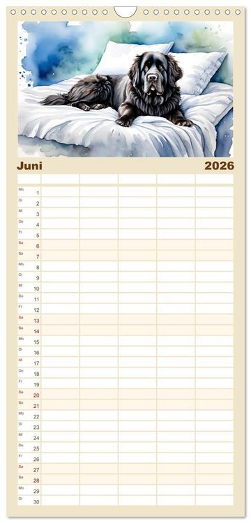Produktbild: Familienplaner 2026 - Hundetr&auml;ume mit 5 Spalten (Wandkalender, 21 x 45 cm) CALVENDO