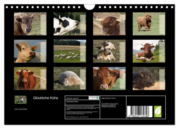 Produktbild: Gl&uuml;ckliche K&uuml;he (Wandkalender 2026 DIN A4 quer), CALVENDO Monatskalender